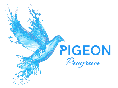 PigeonProgram